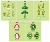 Тетрадь  18л. клетка "Хатбер" 18Т5В1 Йога-фреш