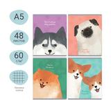 Тетрадь  48л. Meshu 49772