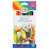 Карандаши "Гамма" 12цв. 050918_02 карт/уп