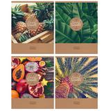 Тетрадь  48л. BG А5 клетка Tropic fresh 7608
