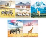 Тетрадь  80л. Спейс А5 скрепка 26689