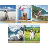 Тетрадь  48л. Спейс ЛИНИЯ Питомцы 24466 My best friend