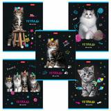 Тетрадь  48л. Хатбер клетка МУРчат коты