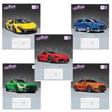 Тетрадь  12л. линия 104785