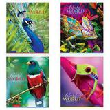 Тетрадь  48л. Спейс клетка Животные 42990 эконом