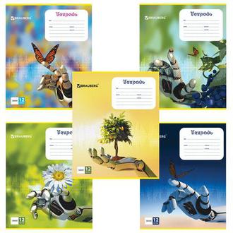 Тетрадь  12л. линия 104780