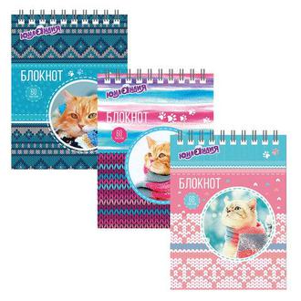 Блокнот 60л. А6 "Brauberg" спир.верх. 129831