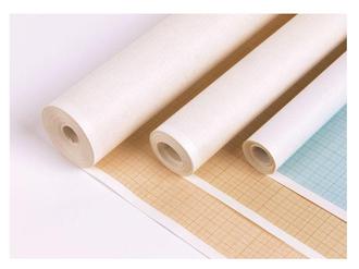 Бумага масш.-коорд. 878*10м рулон оранж.