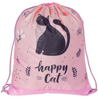Сумка школьн. д/сменн. обуви Спейс 31675 Cat