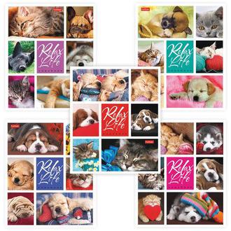 Тетрадь  24л. клетка "Хатбер" 24Т5В1 Relax life