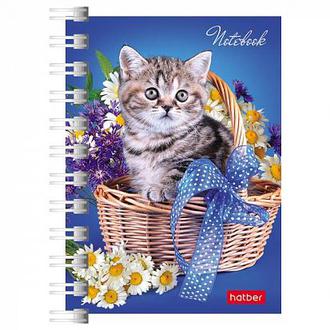 Зап. книжка  Хатбер 40л А7 на гребне 40ЗК7В1гр ассорти