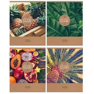 Тетрадь  48л. BG А5 клетка Tropic fresh 7608