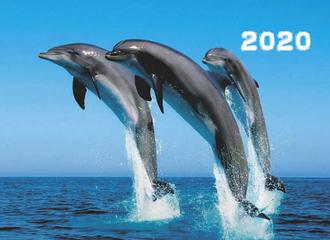 Календарь квартальн. 2020г. 3-х блочный бегунок Офис-Лидер Дельфины