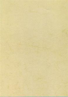 Бумага А4 Дизайн 200г/м2 буффало гавана PCR1844