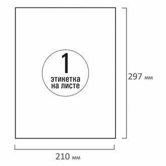 Этикетки самокл. А4 1шт. 210*297 Tanex 114547 (100листов/уп.) ГЛЯНЕЦ