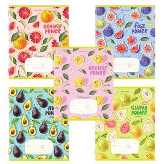 Тетрадь  18л. линия 106482 Фрукты