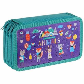 Пенал Спейс 3 отделения 190х110 29128