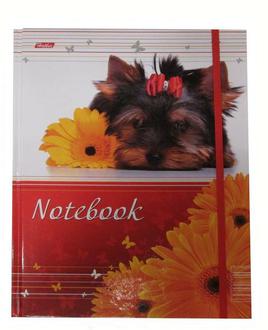 Тетрадь  80л. Хатбер А5 тв. обл. (бизнес-блокнот) Йоркширский терьер 8183 80ББ5 5-цв. блок с резинк.