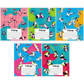 Тетрадь  18л. клетка "Хатбер" 18Т5В1 Animal pattern