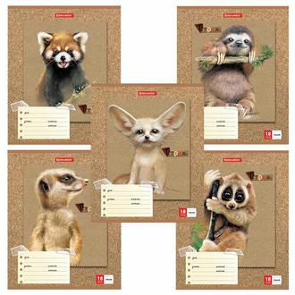 Тетрадь  18л. линия 403580 Милые зверушки