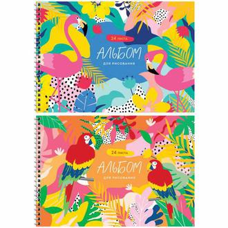 Альбом для рисования 24л. Спейс гребень 44430