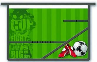 Папка д/труда А4 Феникс 37135 Бутсы и мяч