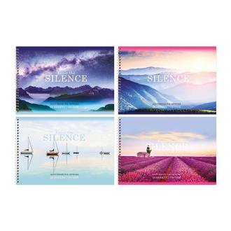 Альбом для рисования 20л. BG гребень 10875 Silence