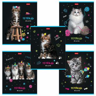 Тетрадь  48л. Хатбер клетка МУРчат коты