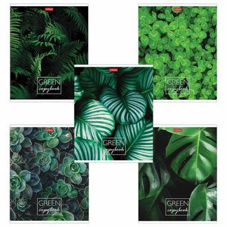 Тетрадь  96л. Хатбер А5 скрепка MOREgreen 96Т5В1