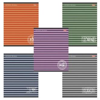 Тетрадь  96л. Хатбер А5 скрепка Полосочки 96Т5В2 ЛИНИЯ