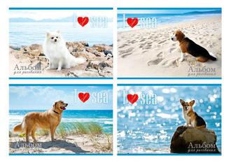 Альбом для рисования 24л. BG 9917/10915