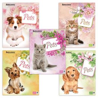 Тетрадь  48л. Brauberg А5 клетка Любимчики 401816