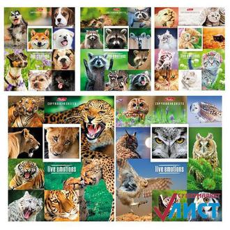 Тетрадь  48л. BG А5 клетка Urban creative 12265