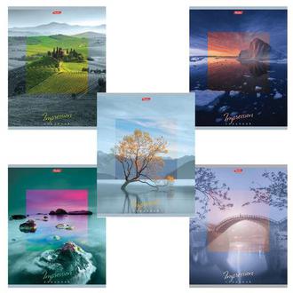 Тетрадь  80л. Хатбер А5 скрепка Impressions 80Т5В1