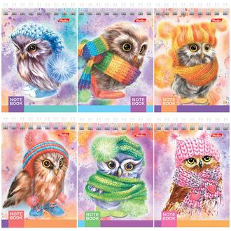 Блокнот 40л. А7 Хатбер гребень Совушки 40Б7В1гр