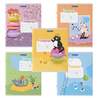 Тетрадь  12л. линия 106472 Озорные коты