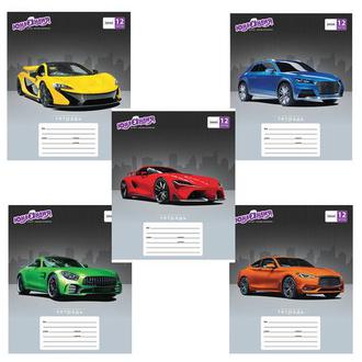 Тетрадь  12л. линия 104785