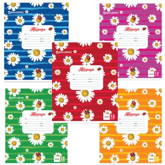 Тетрадь  12л. линия 104779