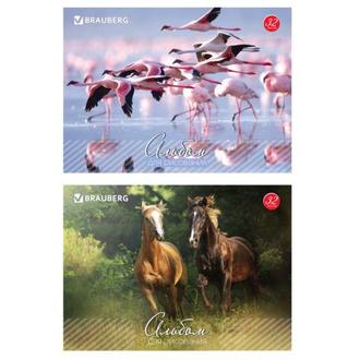 Альбом для рисования 32л. 103683 Живая природа